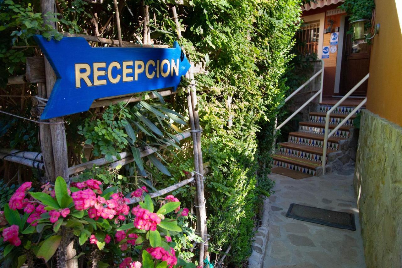 Apartamentos Turisticos Trajano Bolonia Extérieur photo