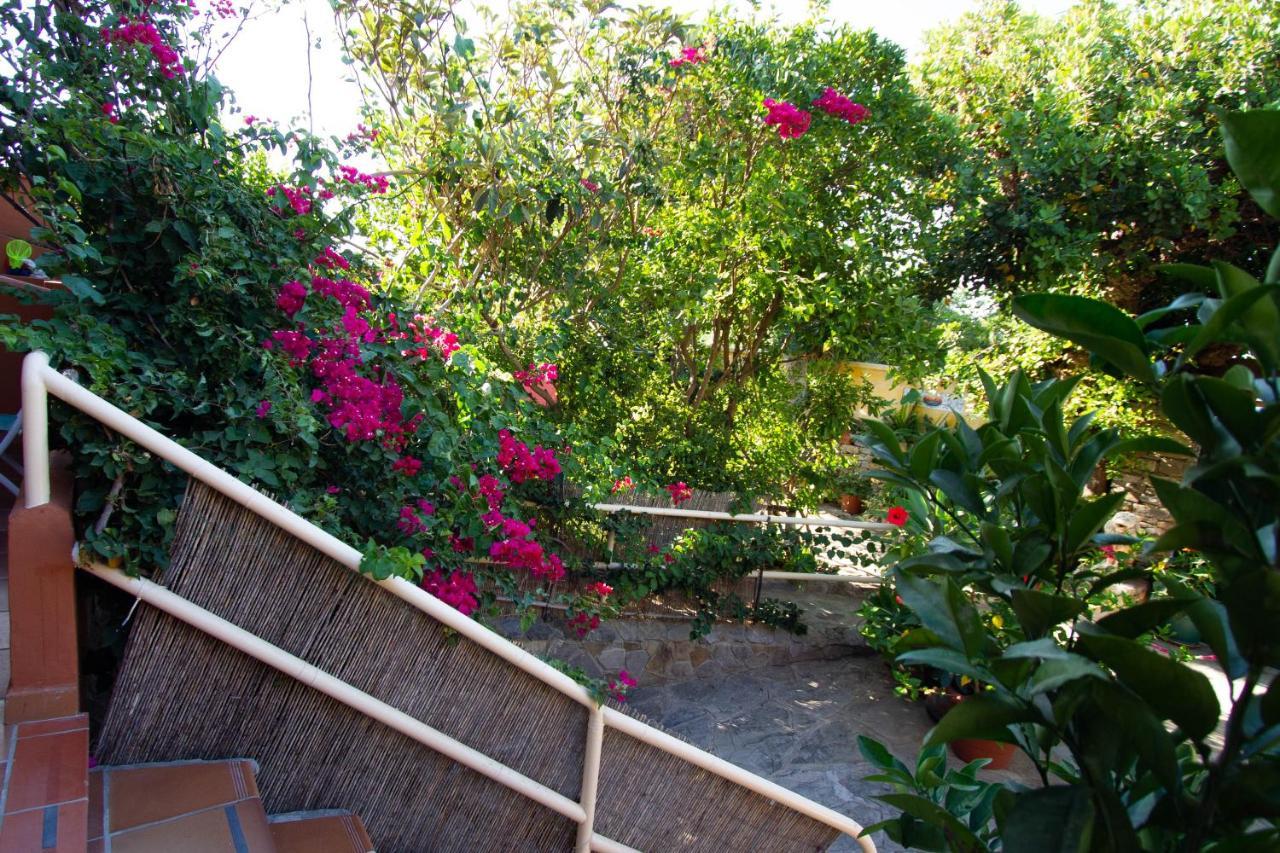 Apartamentos Turisticos Trajano Bolonia Extérieur photo